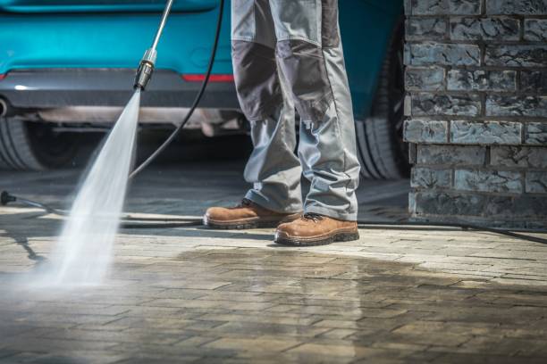 Best Driveway Pressure Washing  in Ahoskie, NC