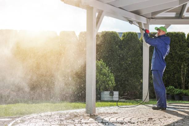 Best Solar Panel Cleaning  in Ahoskie, NC